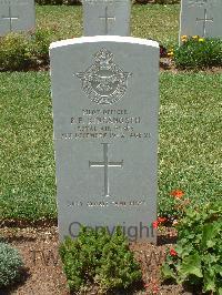 Medjez-El-Bab War Cemetery - Kingsnorth, Peter Frank